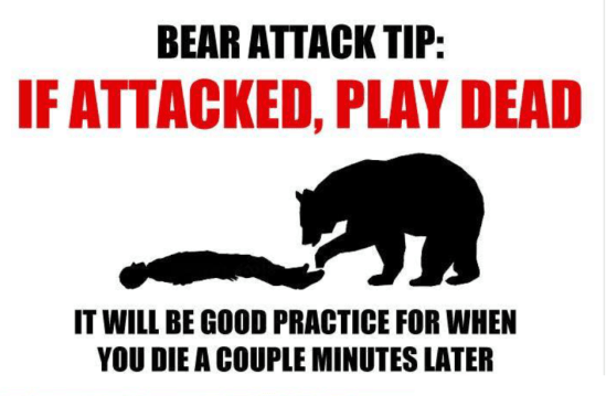 13924952_1220217178010344_2957063827261925730_n